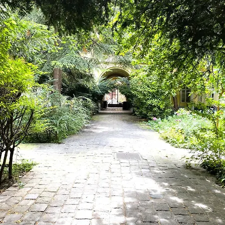 Apartment Coente Kiraly 28