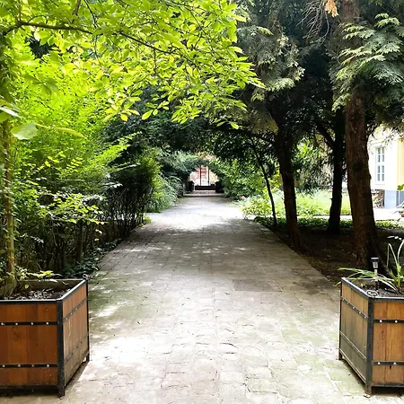 Apartment Coente Kiraly 28 *